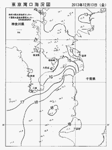 東京湾口海況図(2013/12/13)