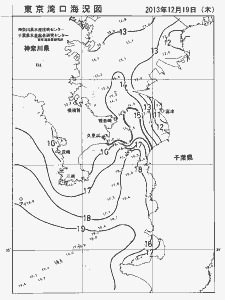 東京湾口海況図(2013/12/19)
