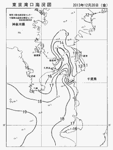 東京湾口海況図(2013/12/20)