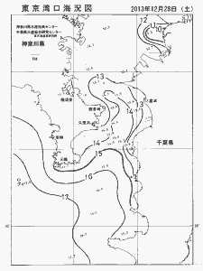 東京湾口海況図(2013/12/28)