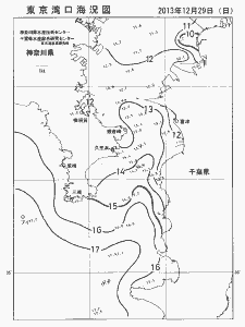 東京湾口海況図(2013/12/29)