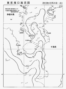 東京湾口海況図(2013/12/31)