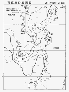 東京湾口海況図(2014/01/14)