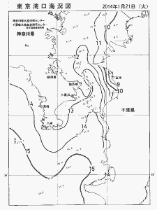 東京湾口海況図(2014/01/21)