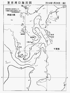 東京湾口海況図(2014/01/24)
