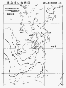 東京湾口海況図(2014/01/30)