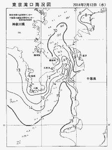 東京湾口海況図(2014/02/12)