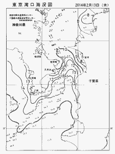 東京湾口海況図(2014/02/13)