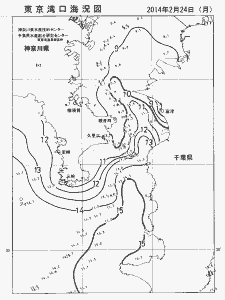 東京湾口海況図(2014/02/24)