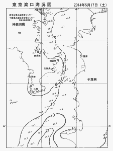 東京湾口海況図(2014/05/17)