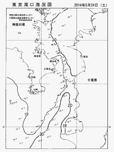 東京湾口海況図(2014/05/24)