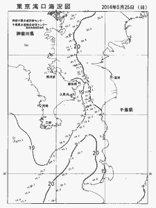 東京湾口海況図(2014/05/25)