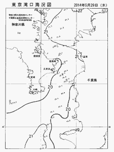 東京湾口海況図(2014/05/29)