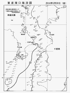東京湾口海況図(2014/05/30)