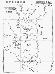 東京湾口海況図(2014/06/03)