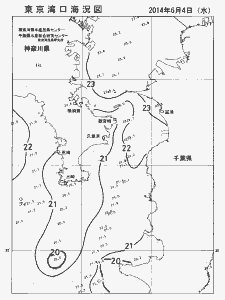 東京湾口海況図(2014/06/04)