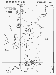 東京湾口海況図(2014/06/05)