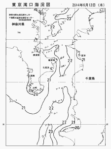 東京湾口海況図(2014/06/12)