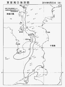 東京湾口海況図(2014/06/22)