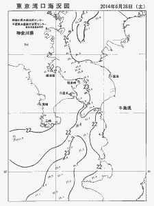 東京湾口海況図(2014/06/28)