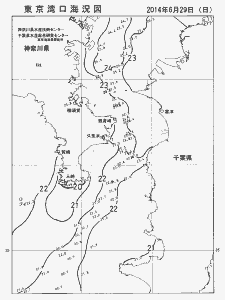 東京湾口海況図(2014/06/29)
