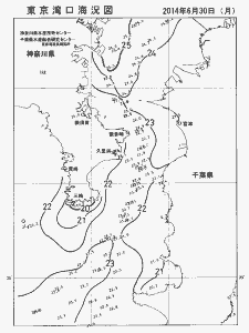 東京湾口海況図(2014/06/30)