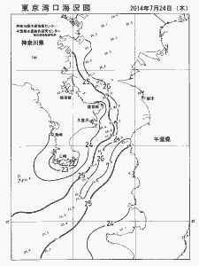 東京湾口海況図(2014/07/24)