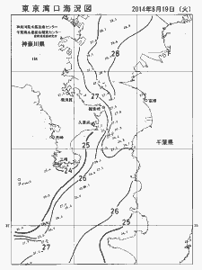 東京湾口海況図(2014/08/19)