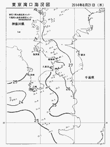 東京湾口海況図(2014/08/21)