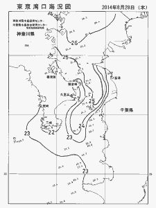 東京湾口海況図(2014/08/28)