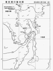 東京湾口海況図(2014/11/13)