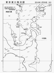 東京湾口海況図(2014/11/19)