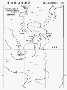 東京湾口海況図(2014/11/23)