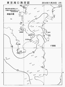 東京湾口海況図(2014/11/24)