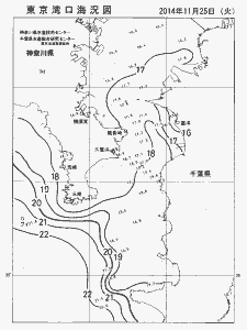 東京湾口海況図(2014/11/25)
