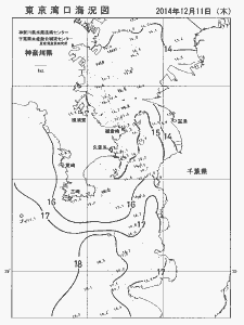 東京湾口海況図(2014/12/11)