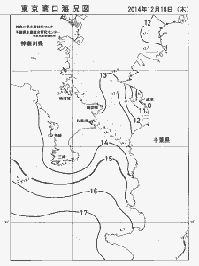 東京湾口海況図(2014/12/18)