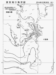 東京湾口海況図(2014/12/30)