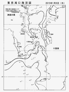 東京湾口海況図(2015/01/08)