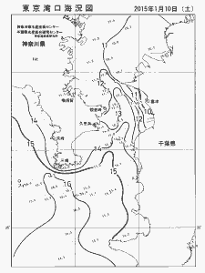 東京湾口海況図(2015/01/10)