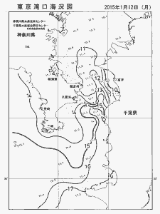 東京湾口海況図(2015/01/12)