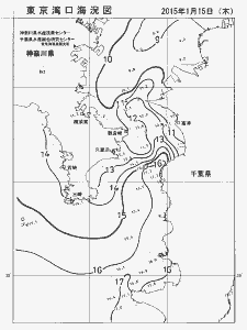 東京湾口海況図(2015/01/15)