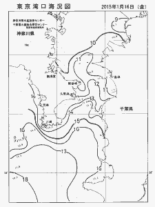 東京湾口海況図(2015/01/16)