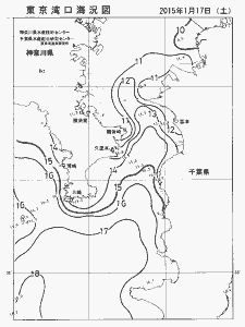 東京湾口海況図(2015/01/17)