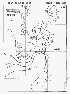 東京湾口海況図(2015/01/18)