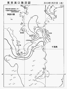 東京湾口海況図(2015/01/21)
