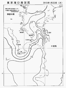 東京湾口海況図(2015/01/22)