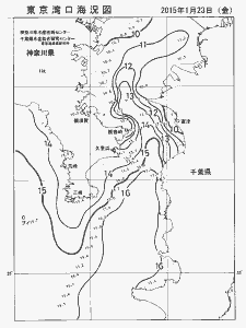 東京湾口海況図(2015/01/23)