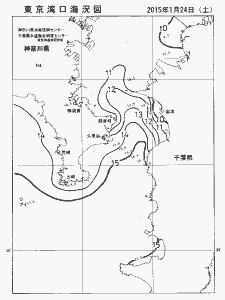 東京湾口海況図(2015/01/24)