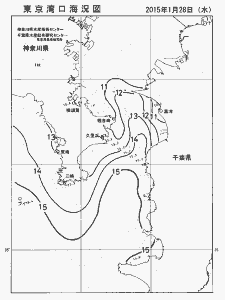 東京湾口海況図(2015/01/28)
